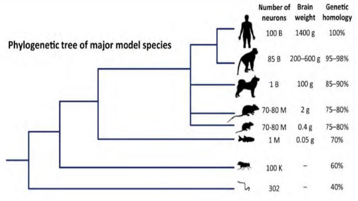 Questa immagine ha l'attributo alt vuoto; il nome del file Ã¨ similaritc3a0-1.png